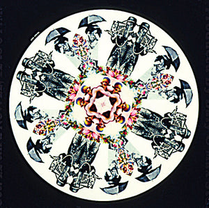 Collage featuring umbrellas, cameras and portraits in a circle.